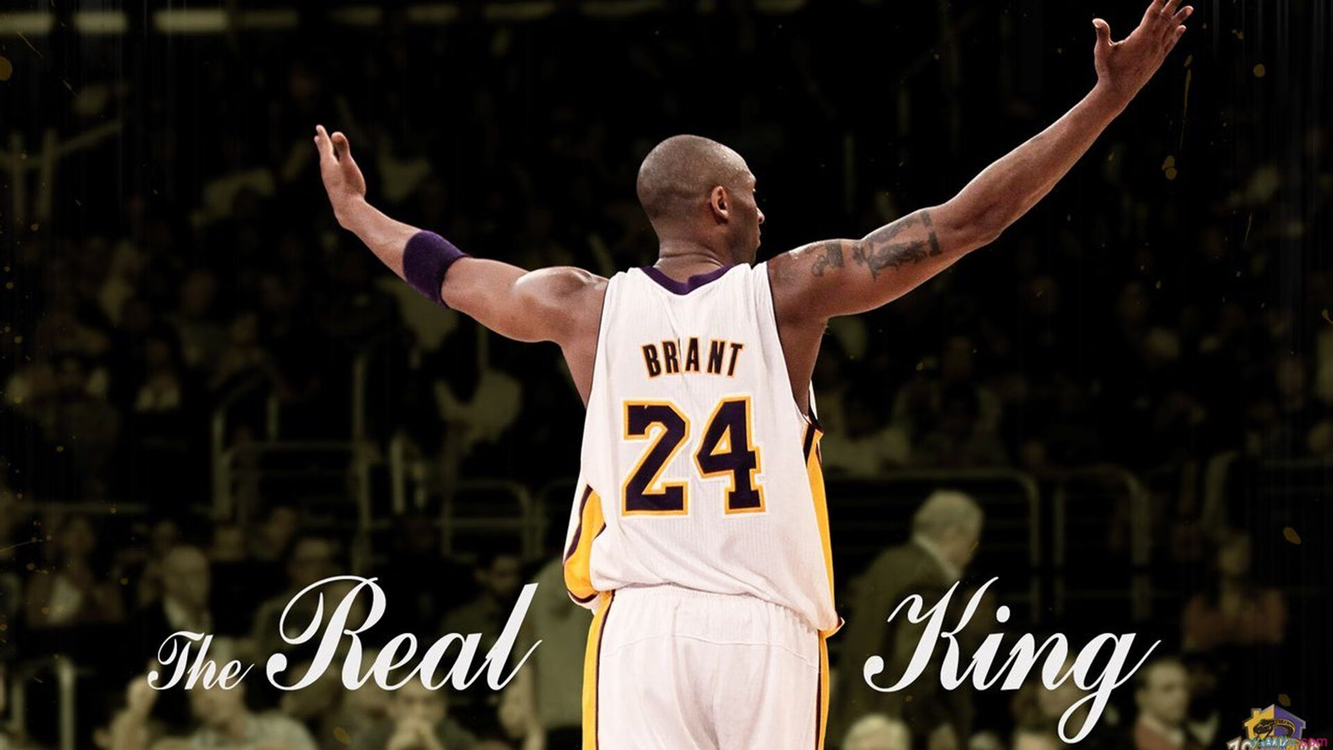 ac米兰官方网站-前热刺铁卫全面开花：职业生涯转型为文艺全能者，前热刺球员